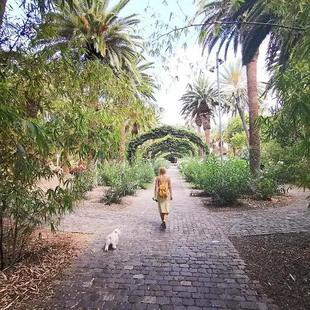 Home2book Sea Front Teresitas 2